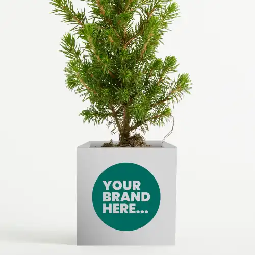 Christmas Tree in White Aluminium  Pot Printed